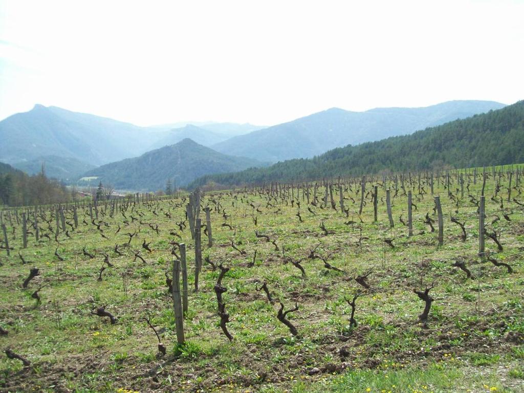 Le Vin De L'Ete Acomodação com café da manhã Ponet-et-Saint-Auban Exterior foto